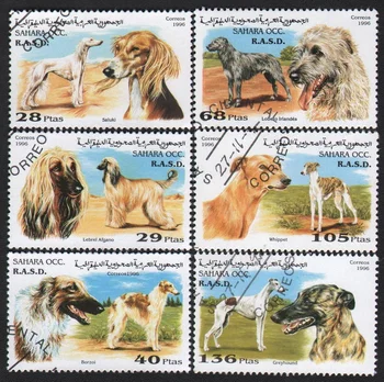 6 шт./компл. почтовых марок Сахары 1996 г. Почтовые марки с пометкой собаки для коллекционирования