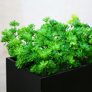 Имитация цветочной композиции в коробке с сочным драгоценным камнем lotus, зелеными листьями и зелеными растениями \ декоративные цветы